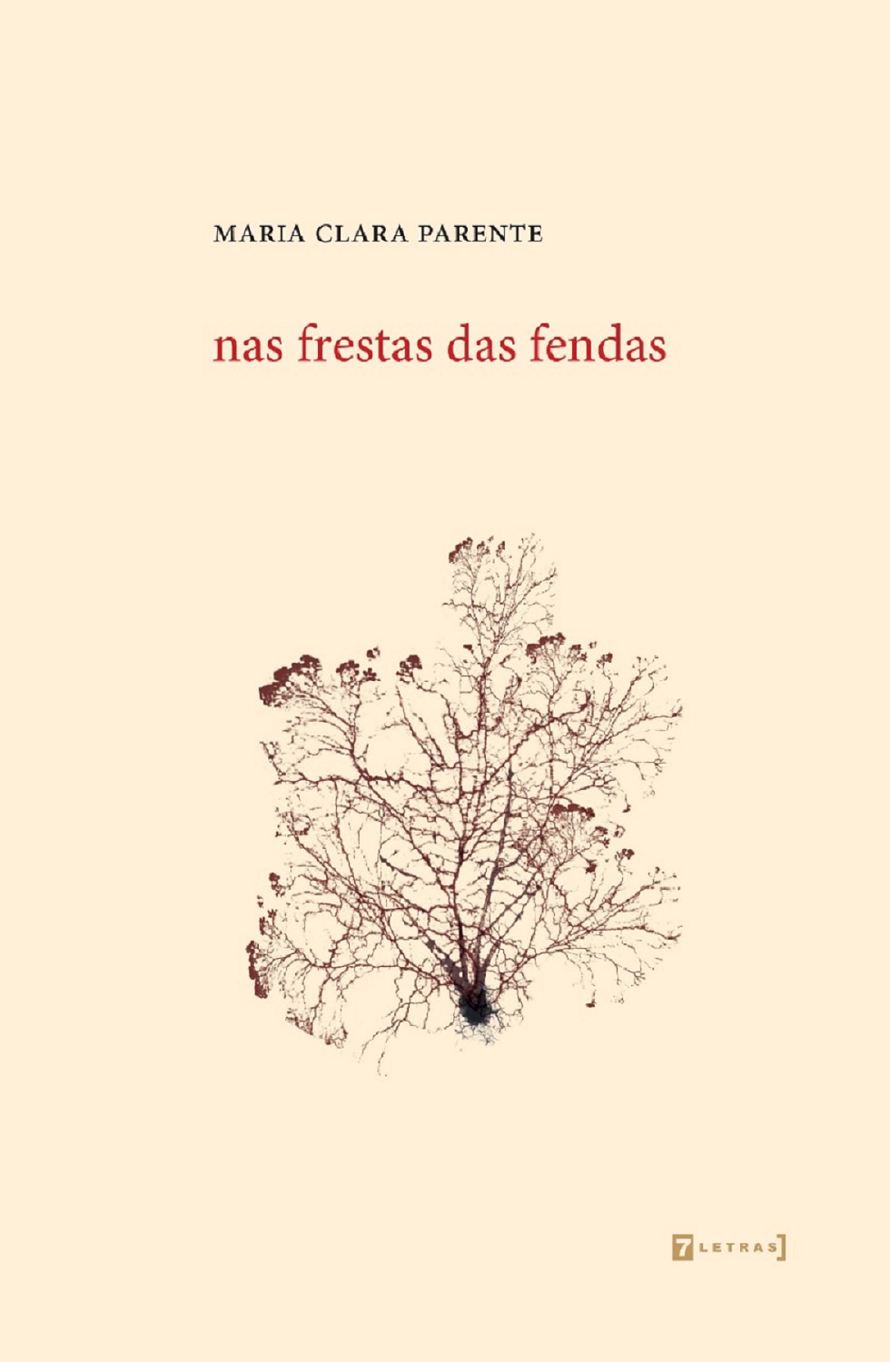 capa do primeiro livro de Maria Clara Parente